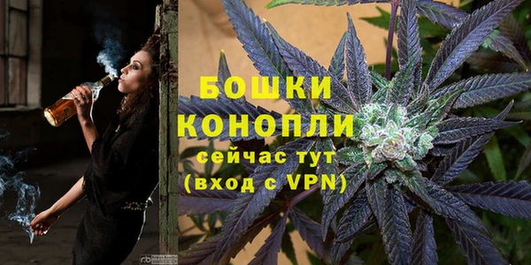 дурь Новодвинск