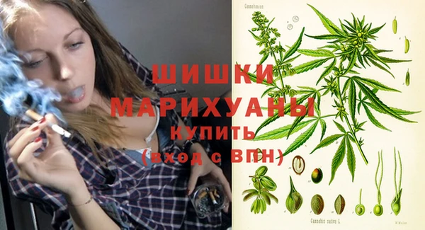 винт Няндома
